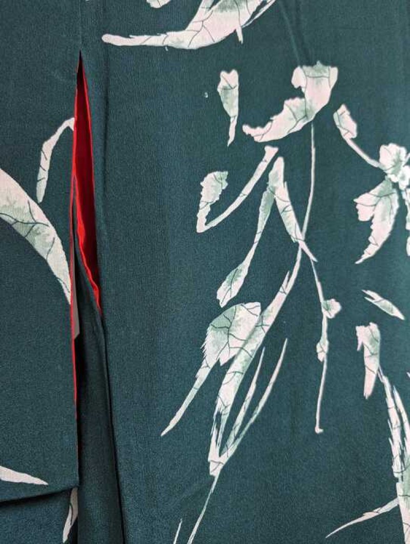 画像5: 素材番号【27】 (5)